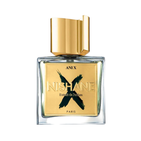 Ani X - PROBE